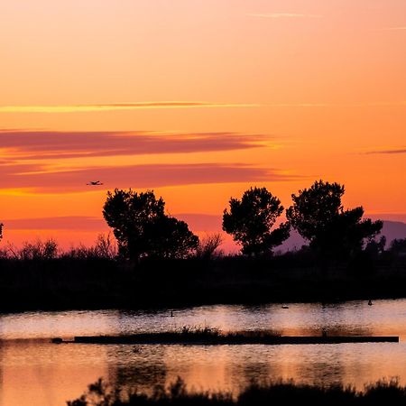 Villa La Provence Hyères المظهر الخارجي الصورة