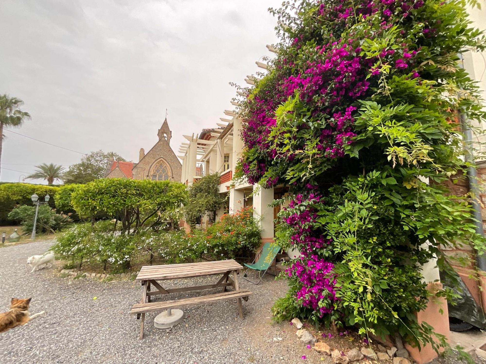 Villa La Provence Hyères المظهر الخارجي الصورة
