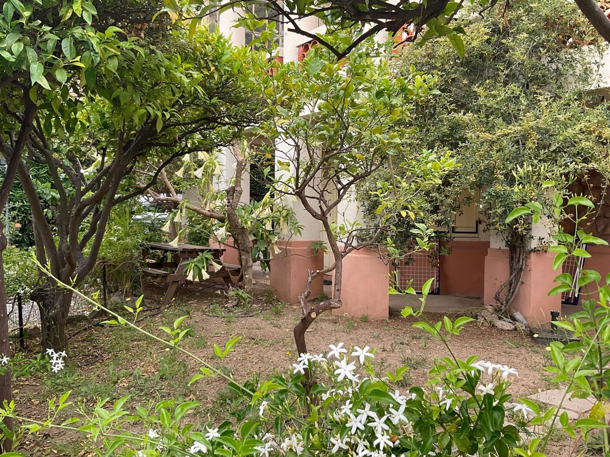 Villa La Provence Hyères المظهر الخارجي الصورة