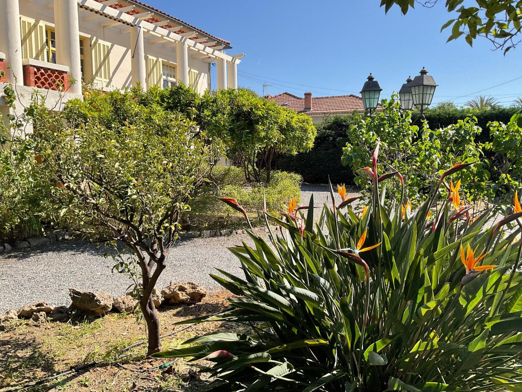 Villa La Provence Hyères المظهر الخارجي الصورة