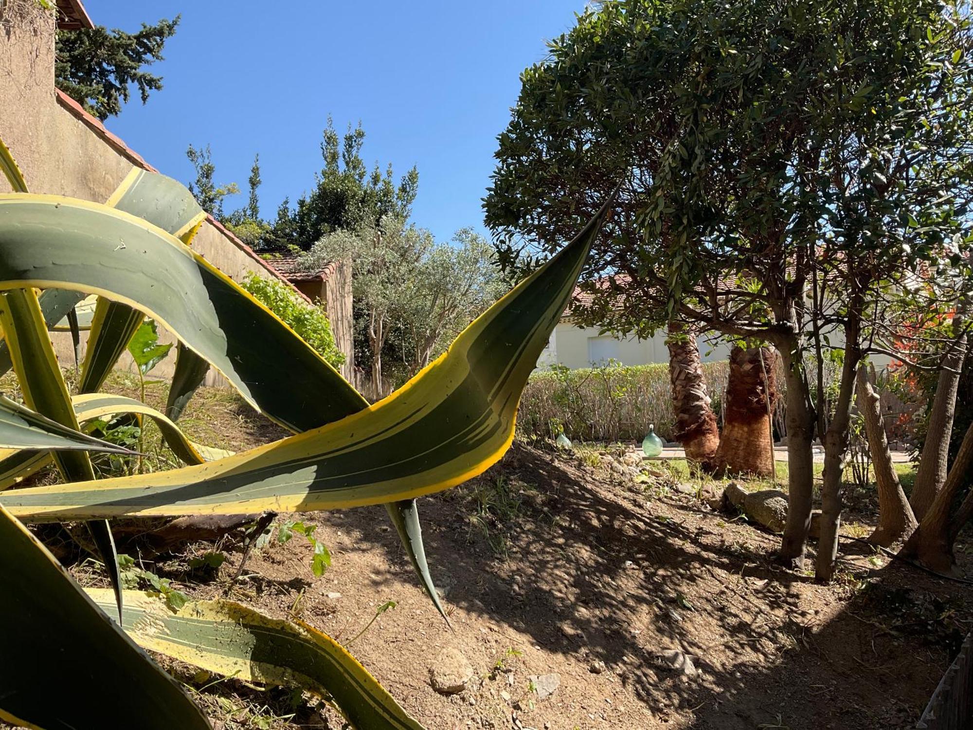 Villa La Provence Hyères المظهر الخارجي الصورة