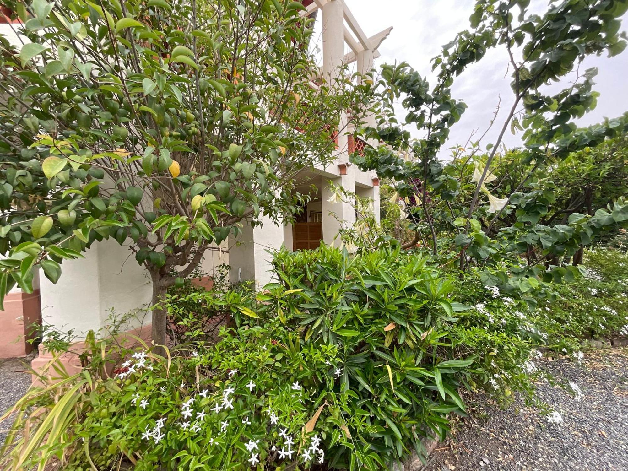 Villa La Provence Hyères المظهر الخارجي الصورة