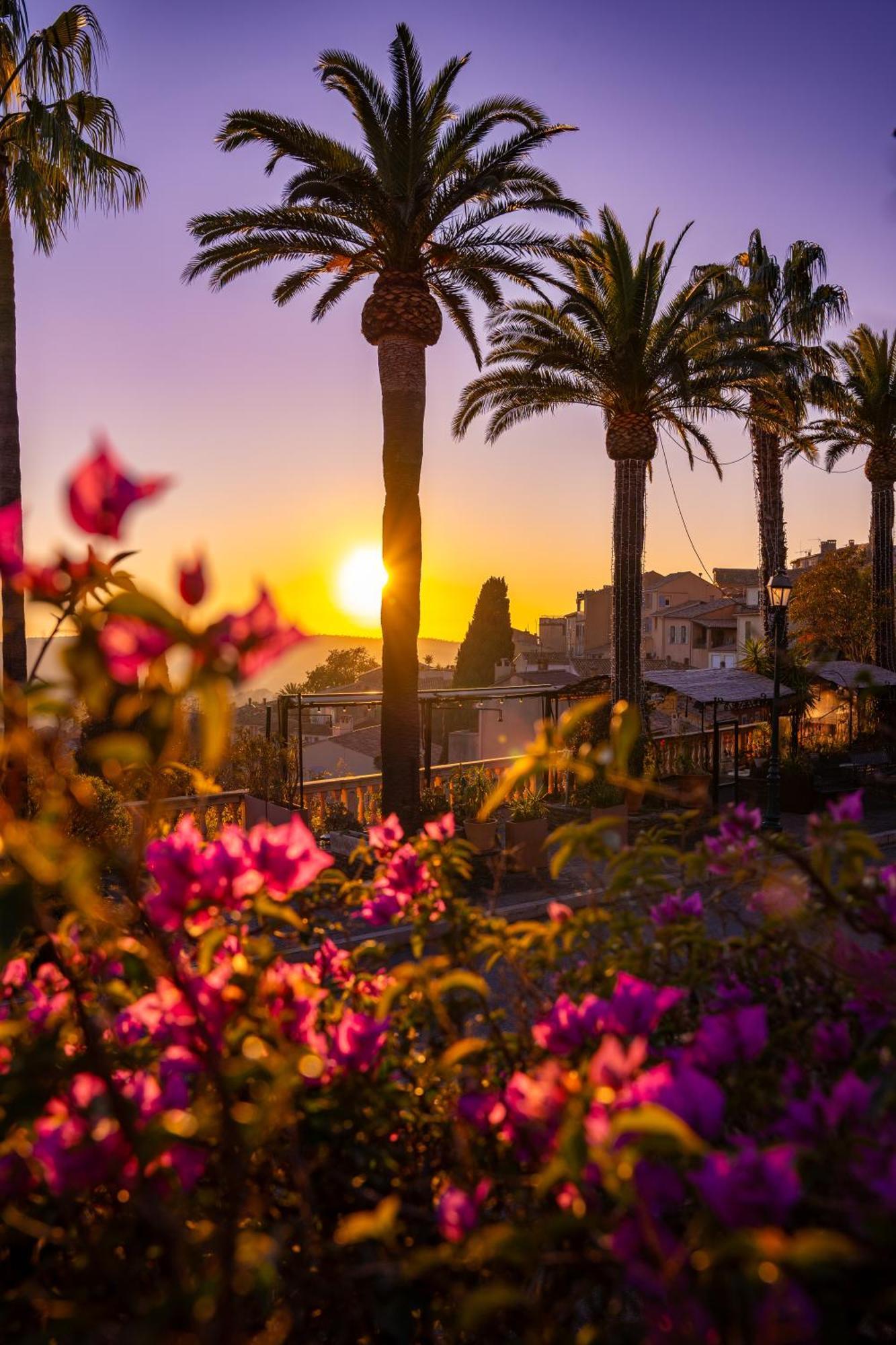 Villa La Provence Hyères المظهر الخارجي الصورة