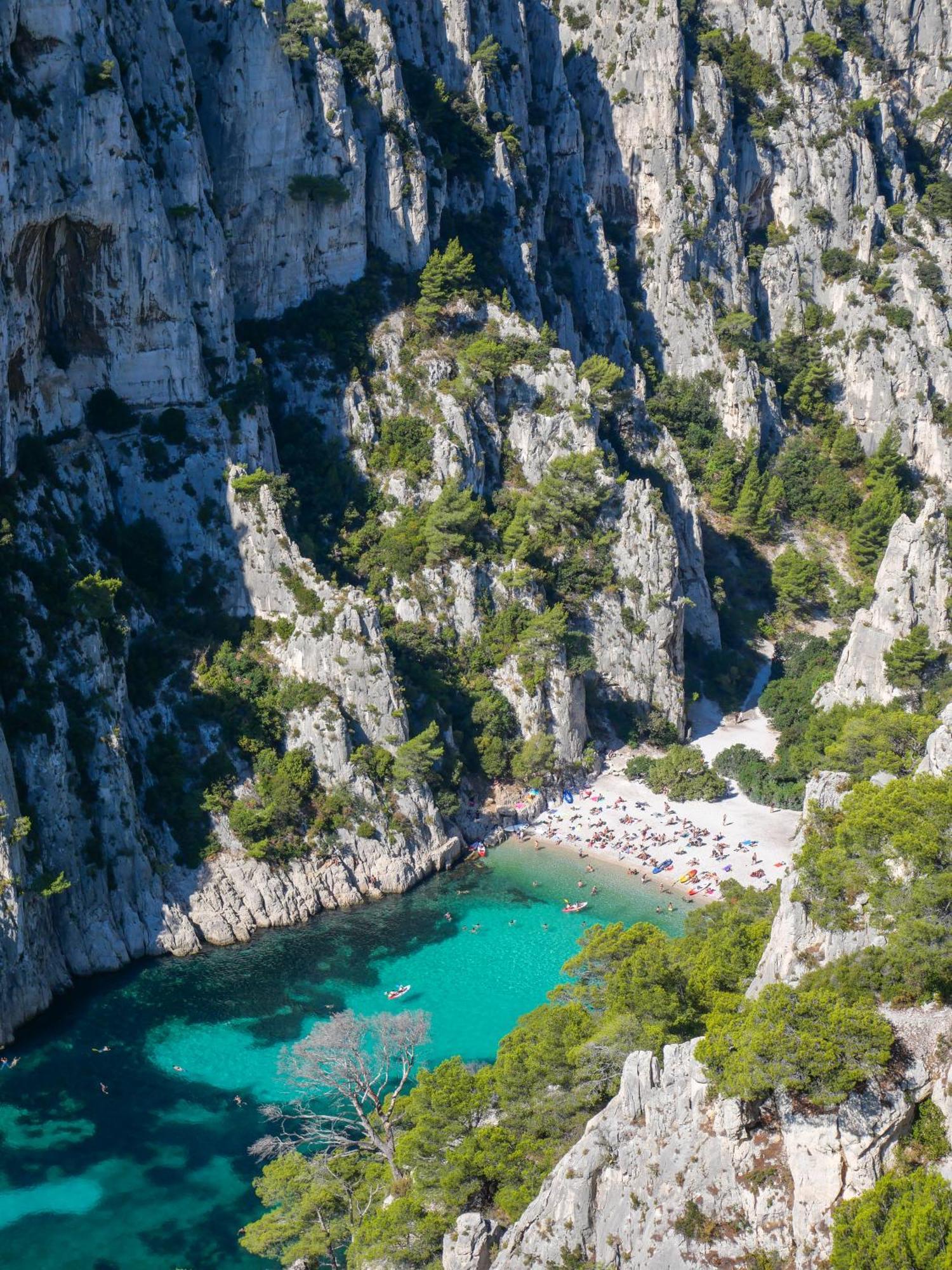 Villa La Provence Hyères المظهر الخارجي الصورة