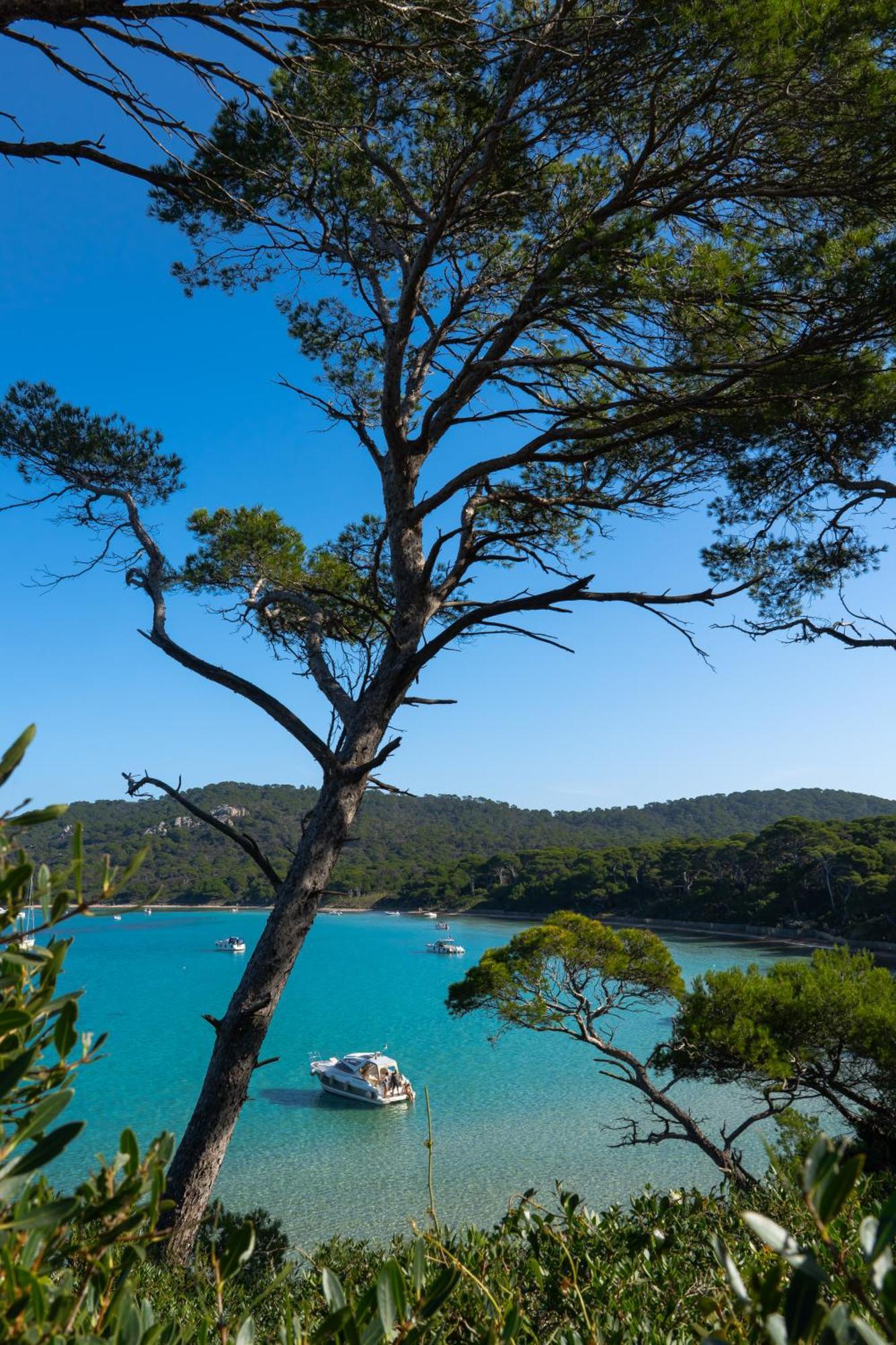 Villa La Provence Hyères المظهر الخارجي الصورة