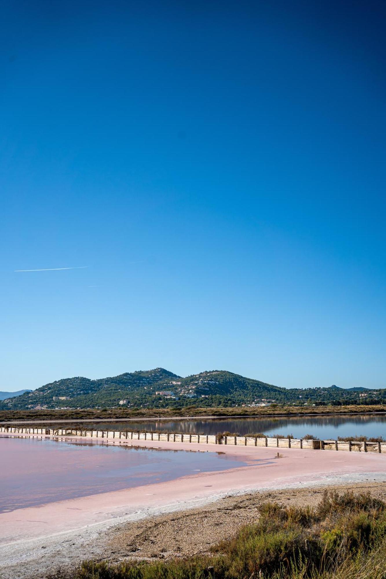 Villa La Provence Hyères المظهر الخارجي الصورة